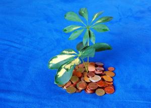 Грядут зачистки: как офшорный скандал отразится на украинском бизнесе 