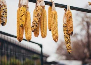 Чим небезпечна для української економіки криза на ринку добрив