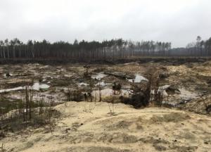 Как МВД крышует нелегальную добычу янтаря под Олевском