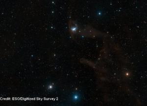 Космические сокровища ESO: Летучая Мышь в темном уголке созвездия Ориона. Чарующее видео 