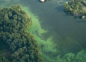 Потім може бути запізно: Дніпро в катастрофічному стані