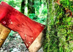 Чорнобильський лісоповал. Після Майдану вирубка масивів у зоні відчуження зросла у п’ять разів