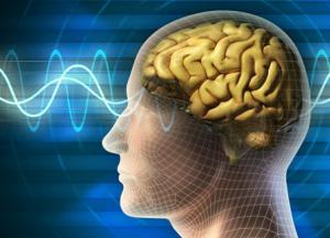 Ученые назвали продукты, которые сделают вас умнее