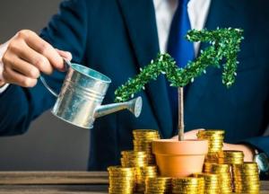 Нужны ли нам няни,- ещё и инвестиционные? 