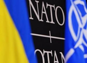 ​Изменится ли линия поддержки Украины лидерами НАТО?