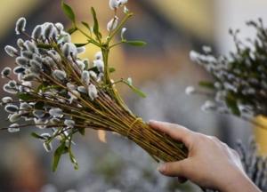 Вербное воскресенье: история, приметы и главные запреты