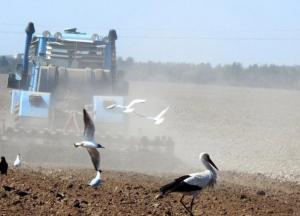 Земельный вопрос станет турбодрайвером тысяч конфликтов
