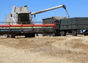 Задавить фермеров налогами: чем опасна новая инициатива "Слуг народа"