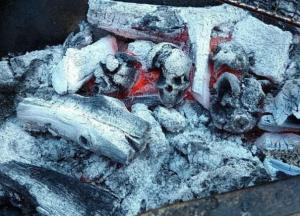Сезон шашлыков: Как удивить друзей на пикнике с помощью угля для мангала