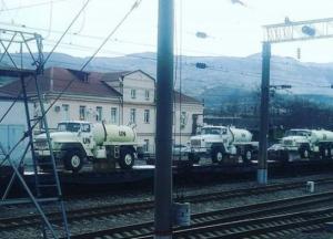 ​Черный лебедь в белой каске