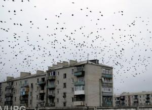 Отпустить или оставить: даст ли что-то Украине отделение Донбасса