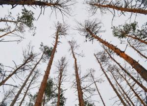 Украине грозит самая масштабная экологическая катастрофа