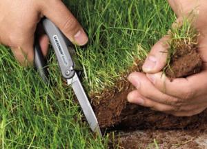 Почему популисты против рынка земли