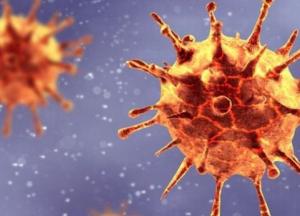 Коронавирус мутировал - почему Украина не вводит локдаун на праздники