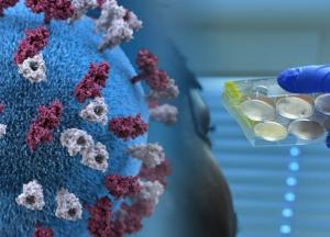 Этот мрак с COVID-19 скоро закончится