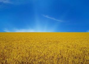 Сценарий политической осени в Украине давно написан