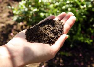 ​Базовые положения относительно собственности на сельскохозяйственную землю