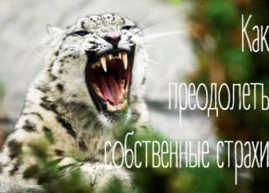 Как преодолеть собственные страхи