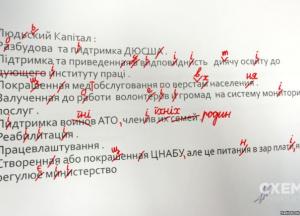 Новоизбранный председатель Николаевской ОГА сделал десятки ошибок в конкурсном задании