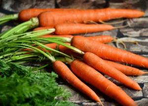 Уся правда про моркву та як її правильно вживати