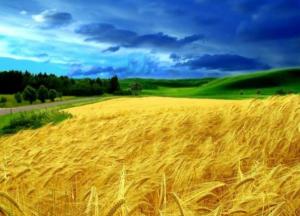 НАБУ становится подразделением ФБР