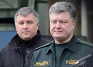 ​Борьба бульдогов под ковром