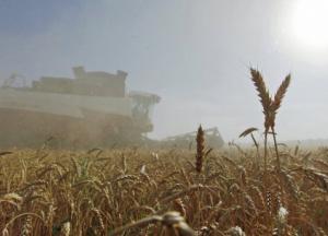 Процветание или бедность: к чему приведет аграрный вектор развития экономики Украины