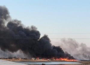 Росіяни випалюють ліси на заповідній Кінбурнській косі: море вздовж узбережжя вкрито попелом і згорілою корою дерев (відео)