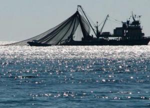 Куда плывет морской рыболовный флот Украины? 