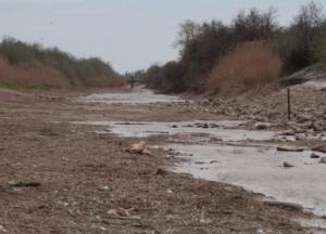 Процесс превращения Крыма в пустыню ускорился в геометрической прогрессии