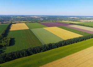 Рынок земли готовят к запуску: каких перемен украинцам ждать в ближайшее время