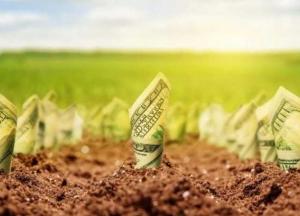 Рынок земли – история об упущенном шансе для Украины