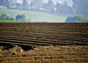 Открытый рынок земли: власть не учитывает два фактора