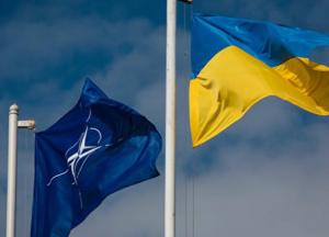 Референдум - для порятунку Порошенка, а не для вступу до НАТО