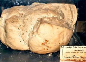 Хлеб, испеченный в 1891 году, до сих пор не испортился благодаря качественной муке и дрожжам