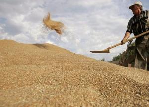 Украину превращают в сырьевой придаток