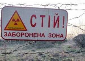 На манеже все те же: скандал вокруг конкурса на позицию главы ДАЗВ