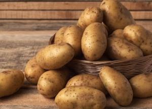 Здорова їжа та має багато поживних речовин: чому не варто відмовлятися від картоплі