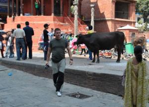 Как меня кумарило в Катманду