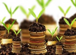 В Украине стартует рынок земли: почему это важно