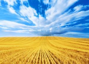 Після Трампа і Brexit. Що чекає Україну в 2017 році