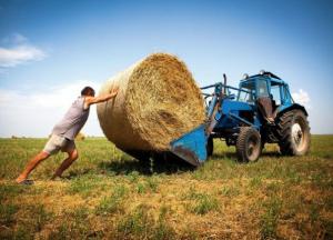 Экономика Украины растет со скоростью улитки