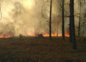 Помог дождь: пожар в Чернобыльской зоне потушен