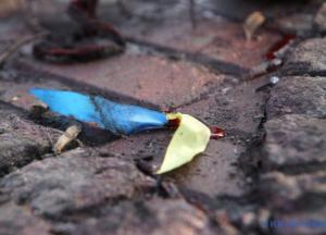 Пять лет прошло: исполнители преступления не найдены