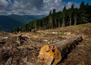 Ситуация в Украине катастрофическая: три области под угрозой экологиче­ского бедствия
