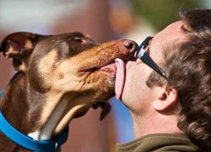 Как характеризует человека его домашний питомец