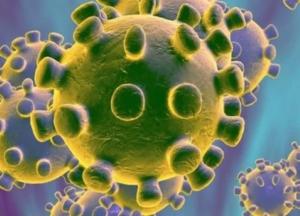 Коронавирус: популизм нас убьет быстрее, чем мутация вирусов