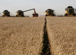 ​Урожай зерновых в Украине бьет рекорды