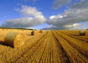 Депутаты хотят законсервировать нищету