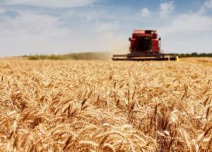 Украинское село: есть ли выход из безнадеги